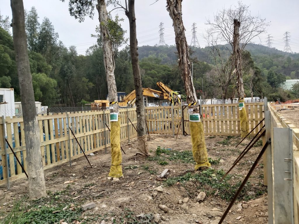 Tree protective fence_Siu Lang Shui Road (1)